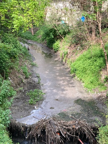 Φωτογραφία 2